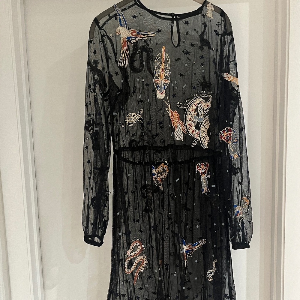 Zara tule embroidered midi dress